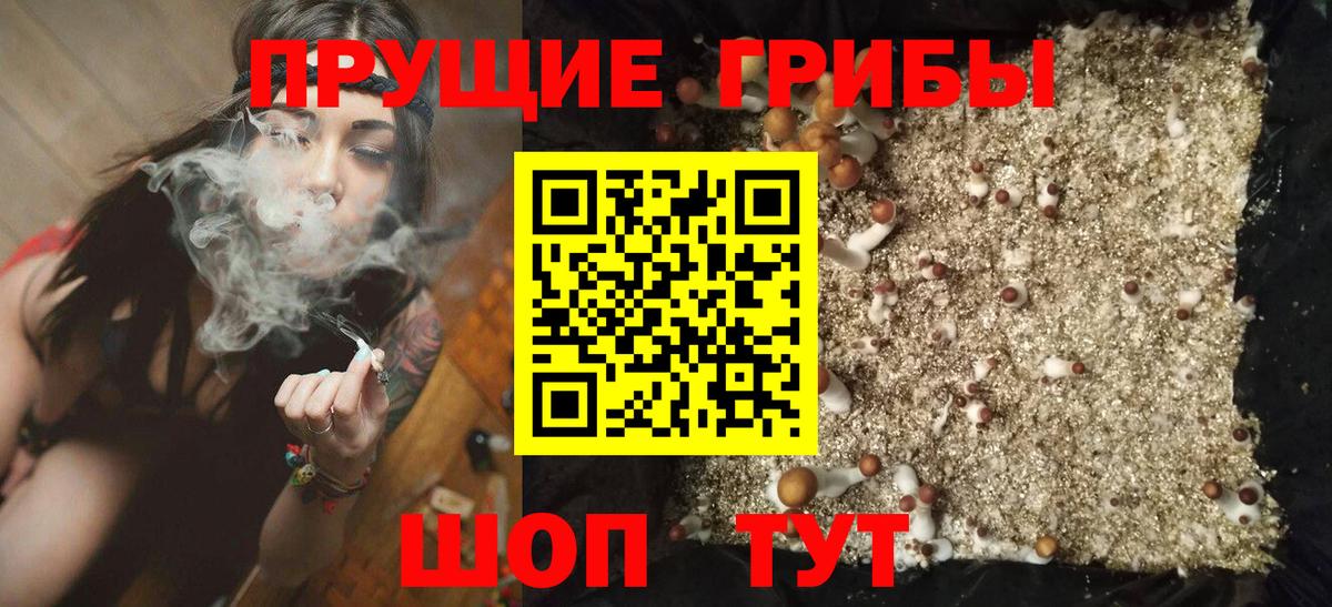 Псилоцибиновые грибы Magic Shrooms Озёры